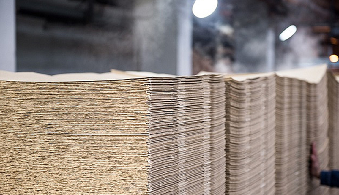 Projek Pulpa Shandong Rizhao